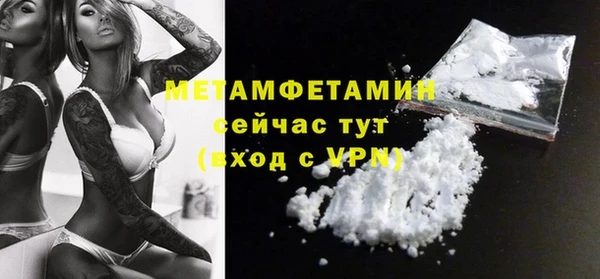 гидра Аркадак