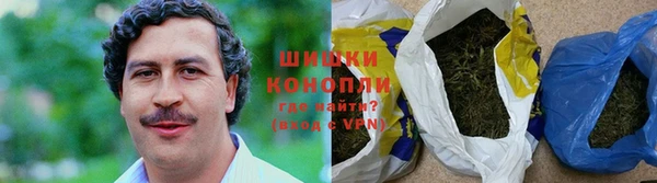 гидра Аркадак