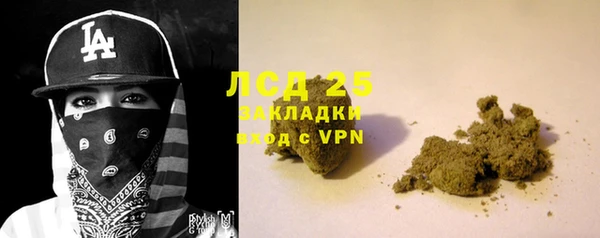гидра Аркадак