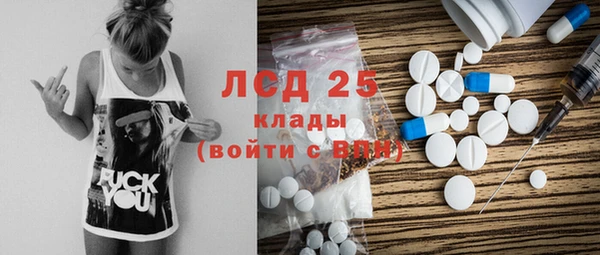 гидра Аркадак